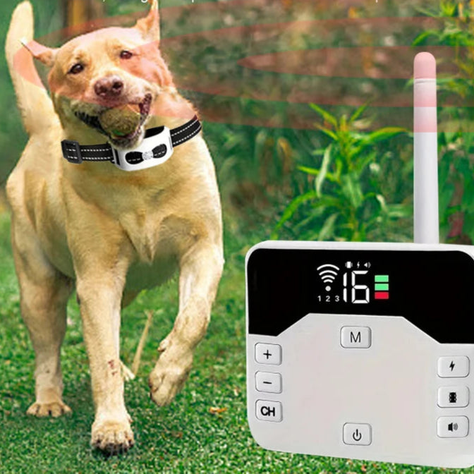 System til udendørs hundehegn, ideelt til store haver, sikrer din hunds bevægelsesfrihed.