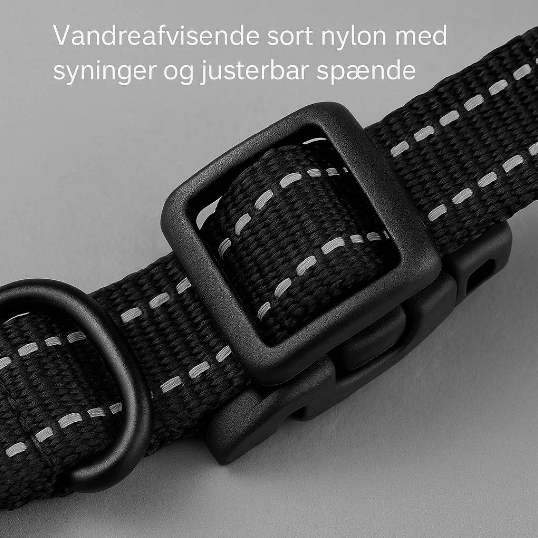 Sikkerhedsopsætning: trådløst hegn for hunde, nem at justere og tilpasse til dit område.