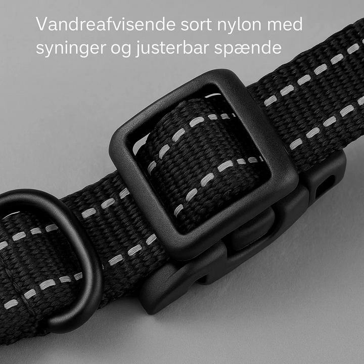 Sikkerhedsopsætning: trådløst hegn for hunde, nem at justere og tilpasse til dit område.