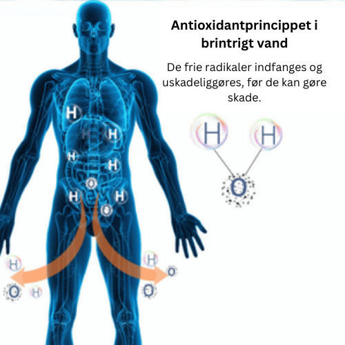 Moderne brintvandflaske for en aktiv og sund livsstil. Få mere energi og forbedret udholdenhed.