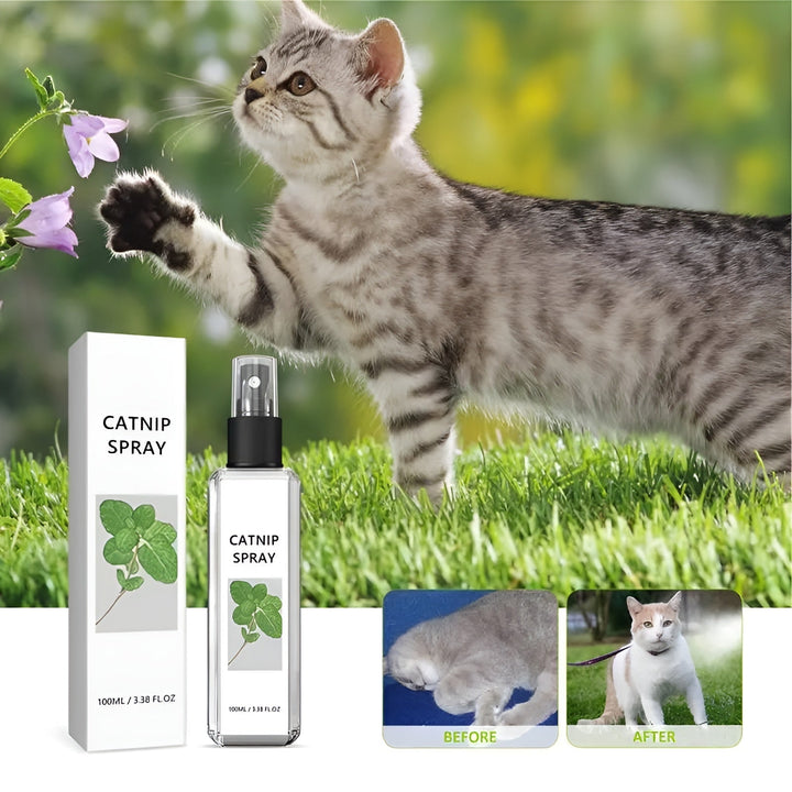 CatAura kattespray med naturlig katteurt og silvervine, fremmer glæde og leg hos katte.