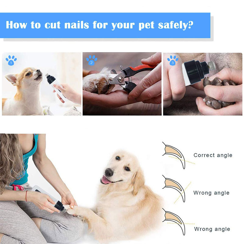 Genopladelig klosliber til effektiv kæledyrspleje. Smertefri neglepleje for hund og kat derhjemme.