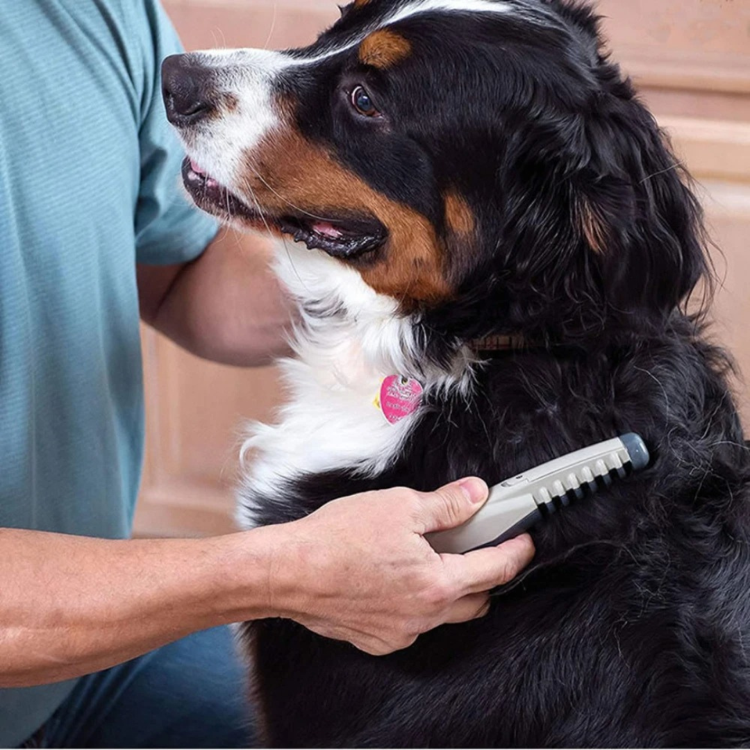 Få en blød og filtret-fri pels med denne deshedder til din hund eller kat.