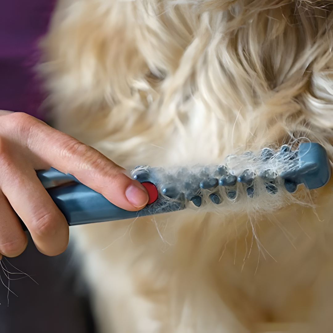 Pelspleje værktøj: trimmer, børste, knudefjerner til hund, kat og andre kæledyr.