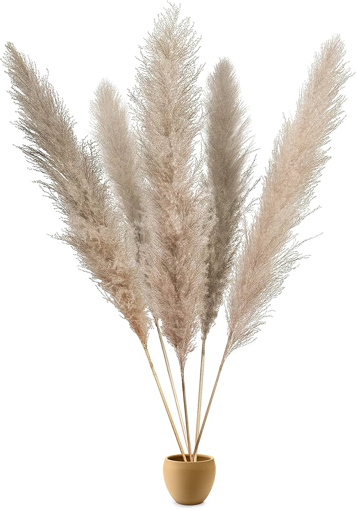 Elegant pampasgræs, tørrede blomster til stilfuld hjemmedekoration. Skaber hygge i ethvert rum.