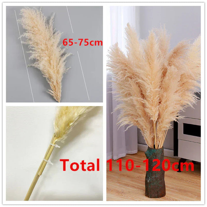 Fluffy pampasgræs i en minimalistisk vase. Tilføjer et naturligt og elegant touch til hjemmet.