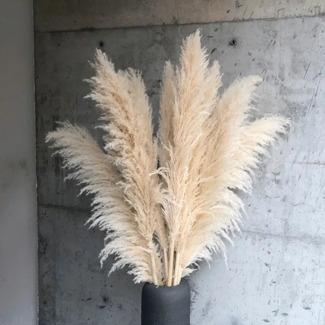 Kombination af beige og hvid pampasgræs, flot i buket til moderne og naturlig indretning.