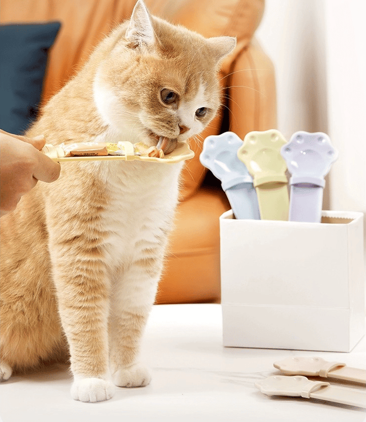 FelineEase katteske til spildfri fodring af din kat. Hygiejnisk foderske til kattemad og godbidder.