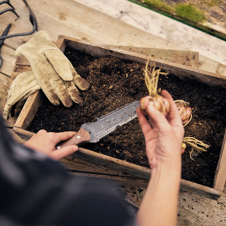 Hori Hori graveværktøj i brug, graver et hul. Effektivt haveredskab til plantning af småplanter & frø.