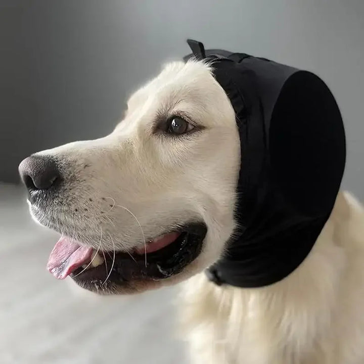 Bløde, støjreducerende hundeørebeskyttere sikrer ro. Ideel til angstdæmpning ved høje lyde og stressende situationer.