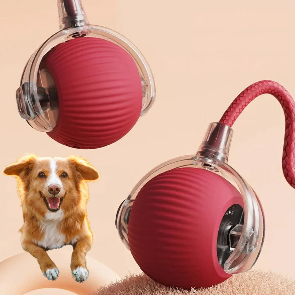 Interaktiv rullebold med hale til hunde og katte, perfekt for mental og fysisk stimulering.