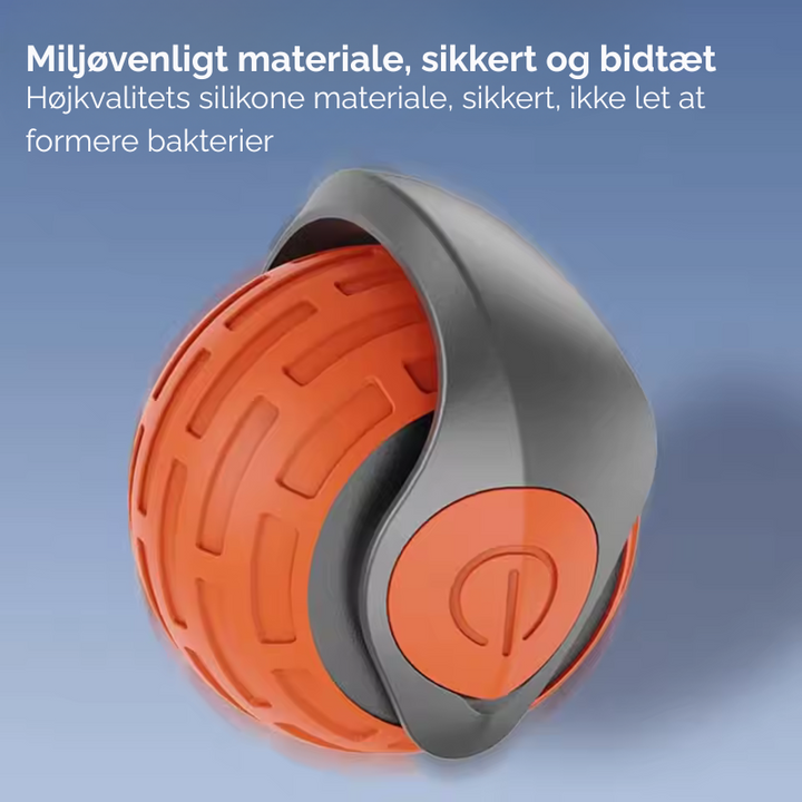 Kat betragter bold: Spændt kat observerer det bevægelige interaktive kattelegetøj, klar til at lege.