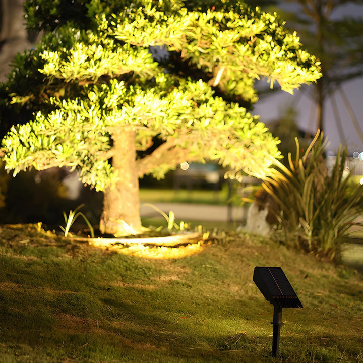 Solardrevet LED spotlight, ideel til stilfuld sti belysning og haveindretning.