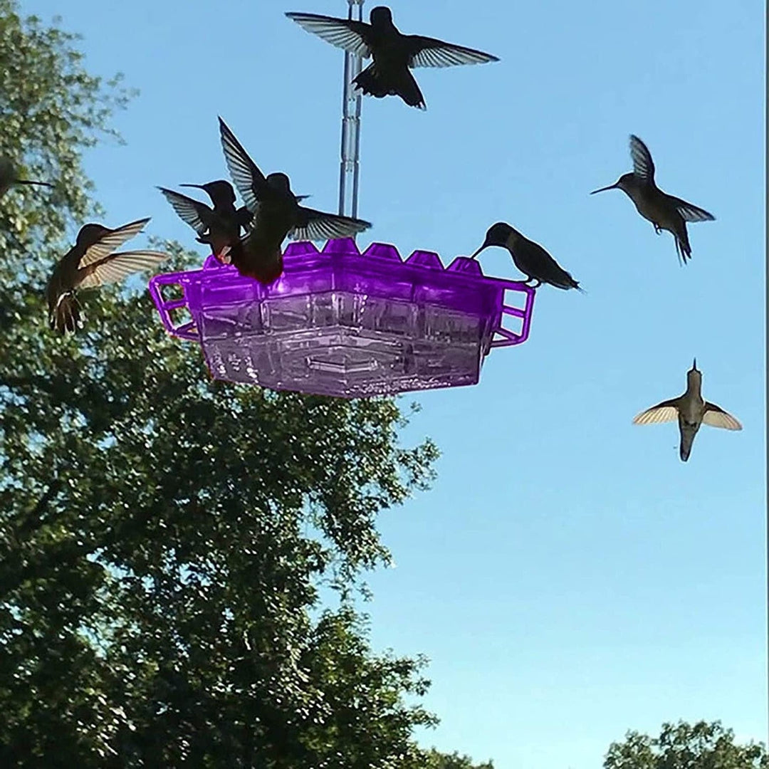 Krystalklar Kolibri Foderautomat NectarHalo. Tiltræk glæde til din have med frisk nektar.