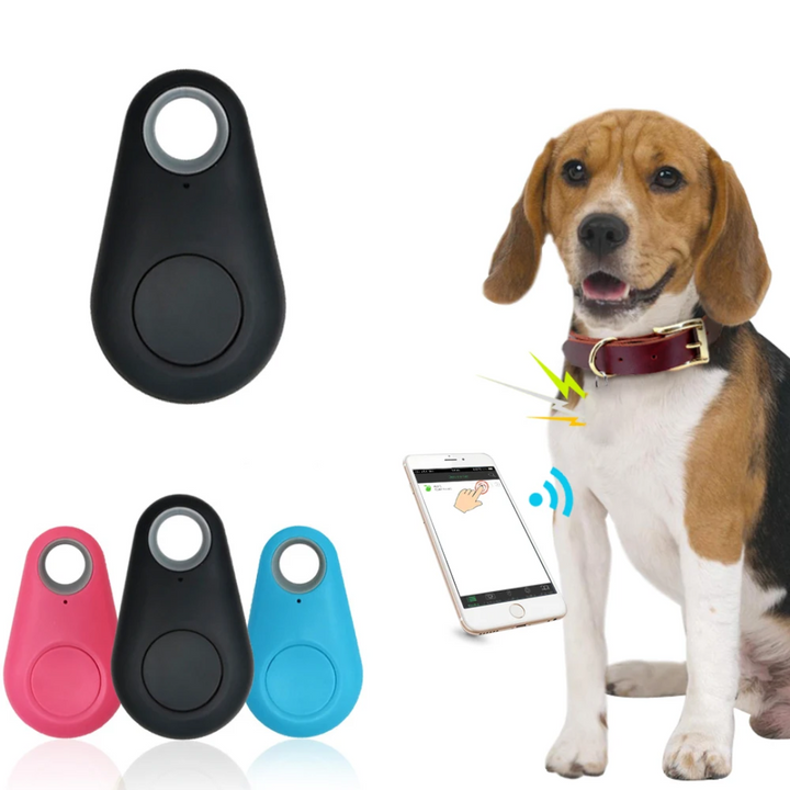 Robust mini GPS til hunde; tåler leg, vand og mudder for aktiv brug.