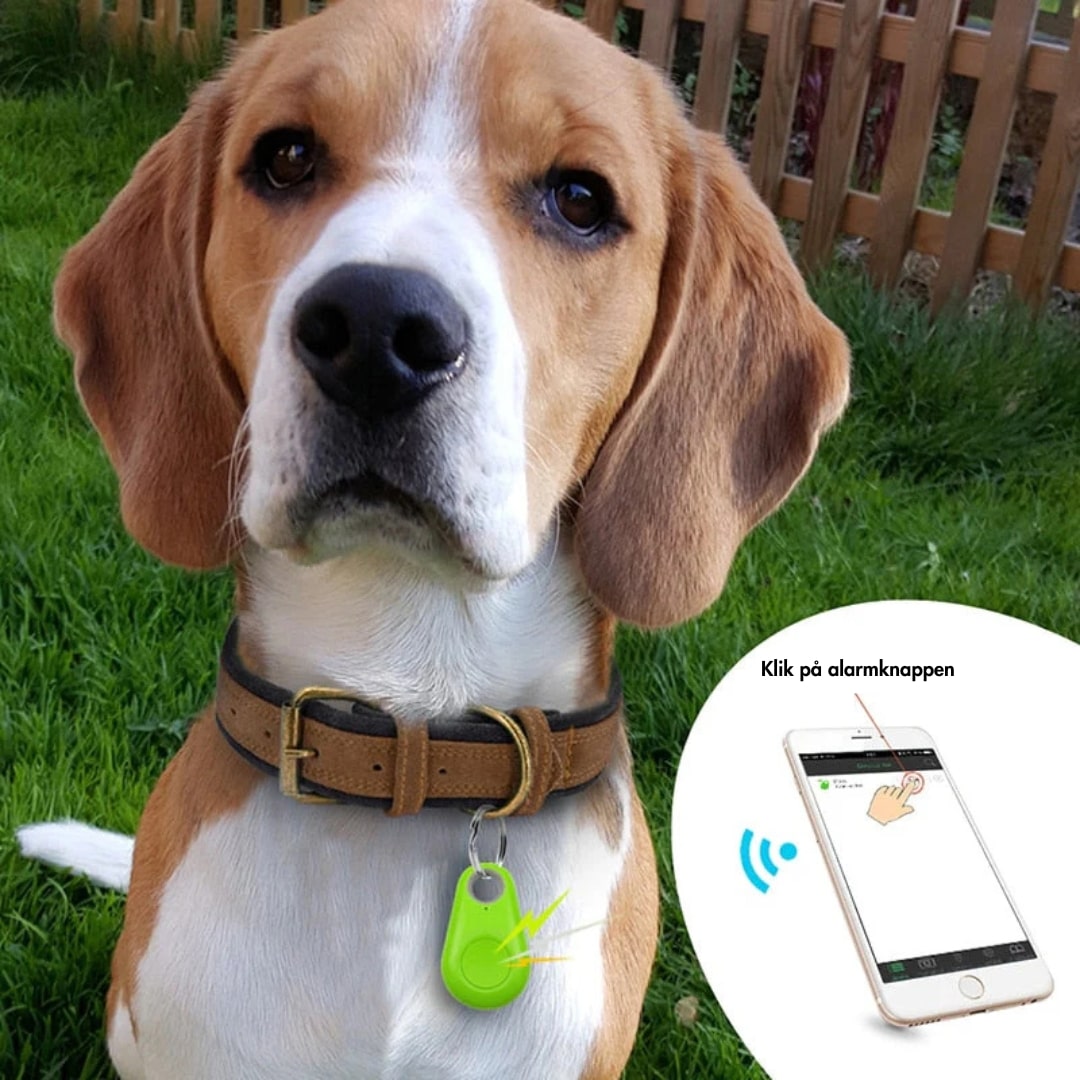 Universel GPS tracker; brug den til alt fra børn til droner og udstyr.