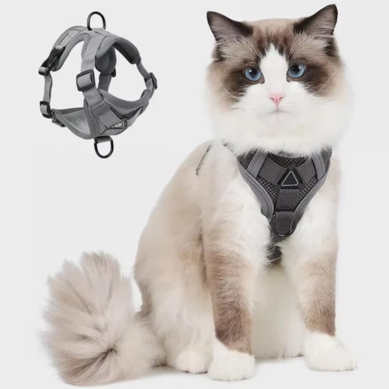 Reflekterende vestsele til katte med let og justerbart design for perfekt pasform.