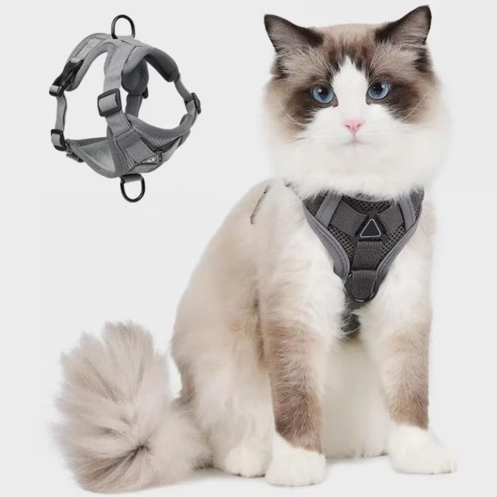 Reflekterende vestsele til katte med let og justerbart design for perfekt pasform.