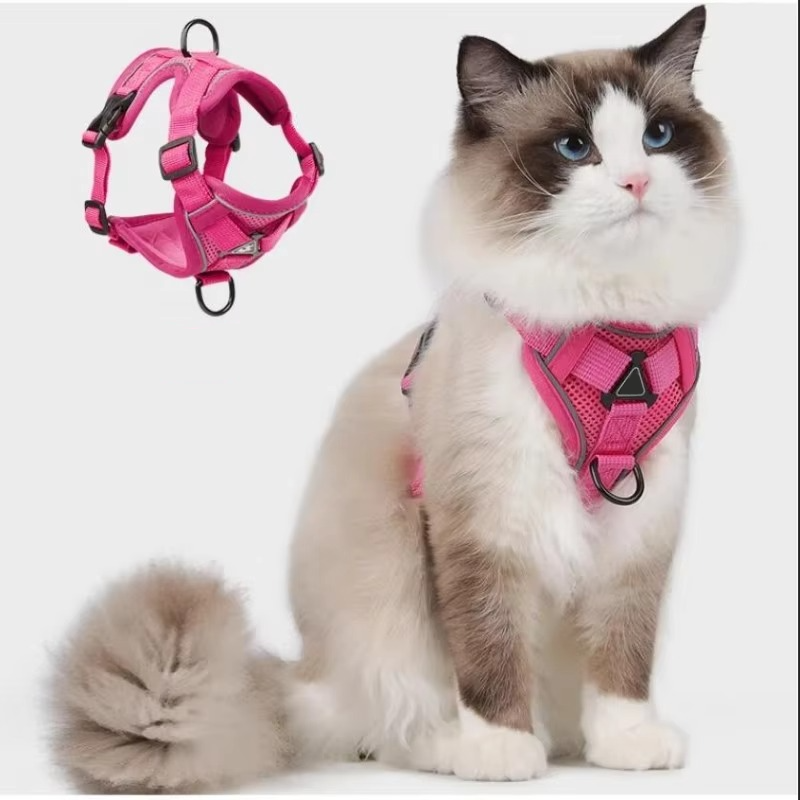 Kattesnor og sele i høj kvalitet, reflekterende for synlighed og kattens sikkerhed.