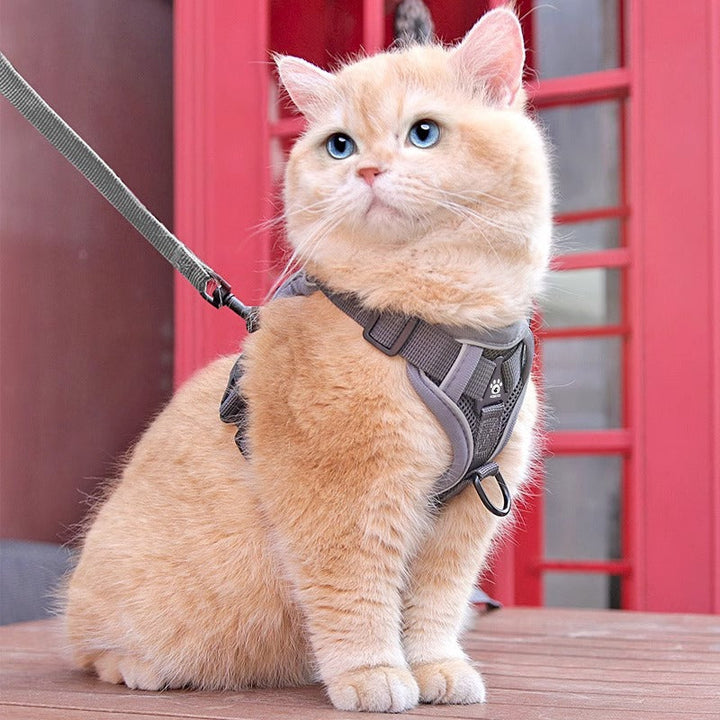 Komfortabel kattesele, velegnet til både katte og småhunde, med reflekterende elementer.