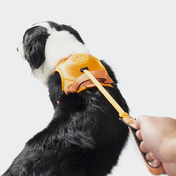 Robust sort hundesnor til daglige gåture. Holdbar fletline og komfortabelt håndtag for alle hunderacer.