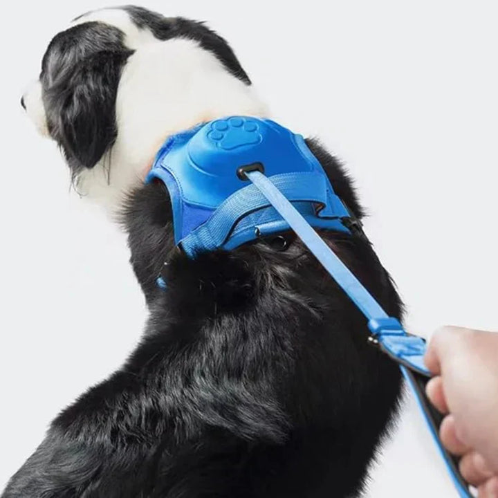 Komfortabel hundesnor med anti-træk funktion for bedre kontrol. Perfekt til træning og afslappede gåture.