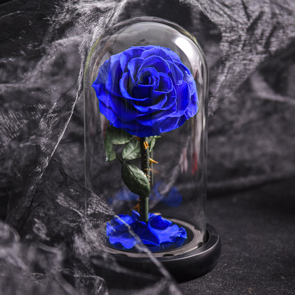 Tidløs konserveret evighedsrose i glaskuppel med LED-lys, en luksus gave til mors dag eller valentinsdag.