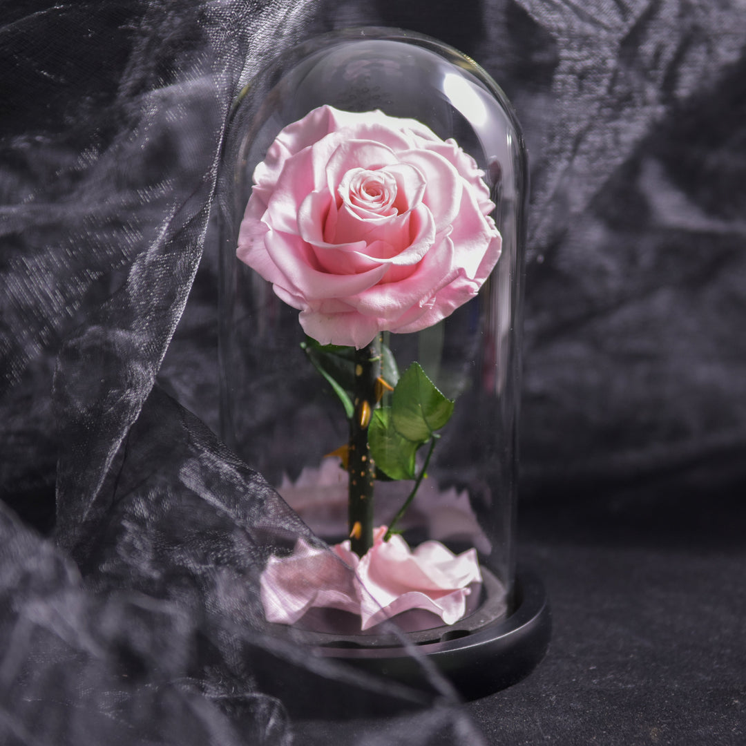 Elegant evighedsrose med LED-lys under glaskuppel; ideel dekoration, der skaber hygge og romantisk stemning.