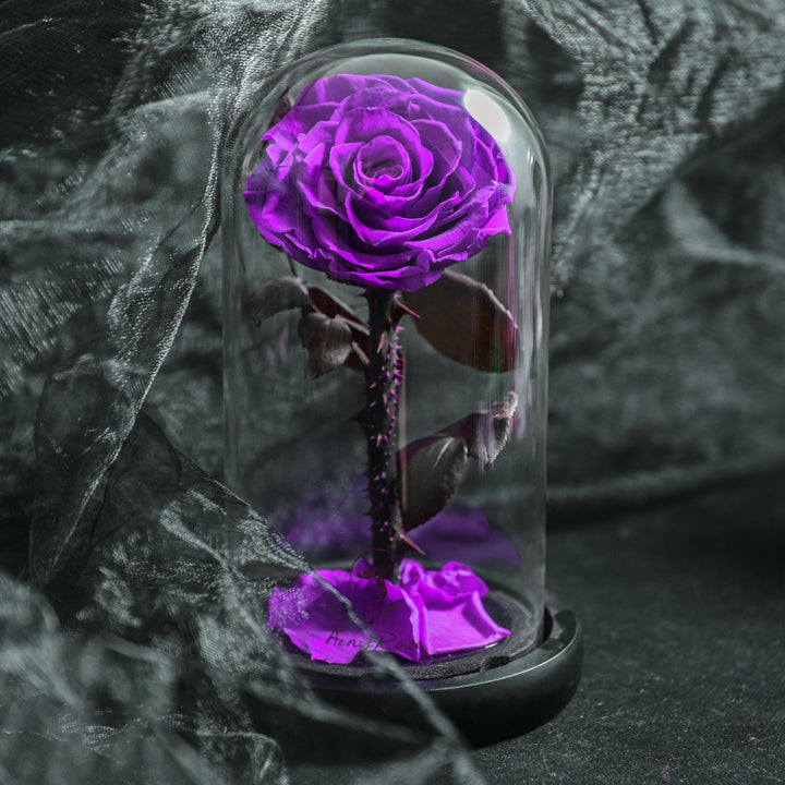 Unik evighedsrose i glaskuppel med LED-lys, den perfekte romantiske gave til hende, der holder evigt.