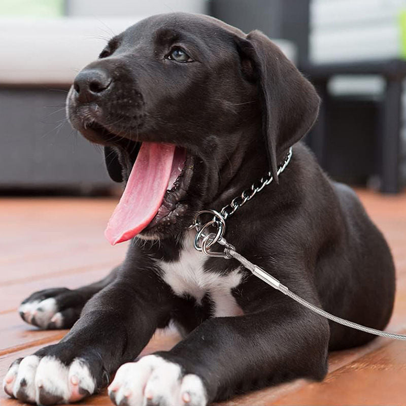 Sikkerhedshundekobbel: Lang, vejrbestandig stålwire giver din hund frihed og dig tryghed udendørs.