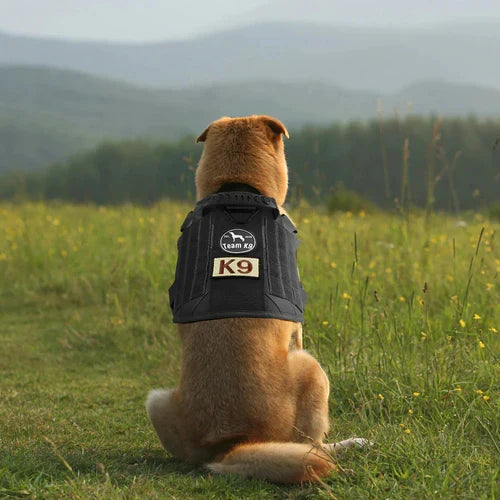 Robust taktisk hundevest med D-ring til optimal kontrol. Justerbar for komfort, ideel til aktive hunde og udendørs brug.