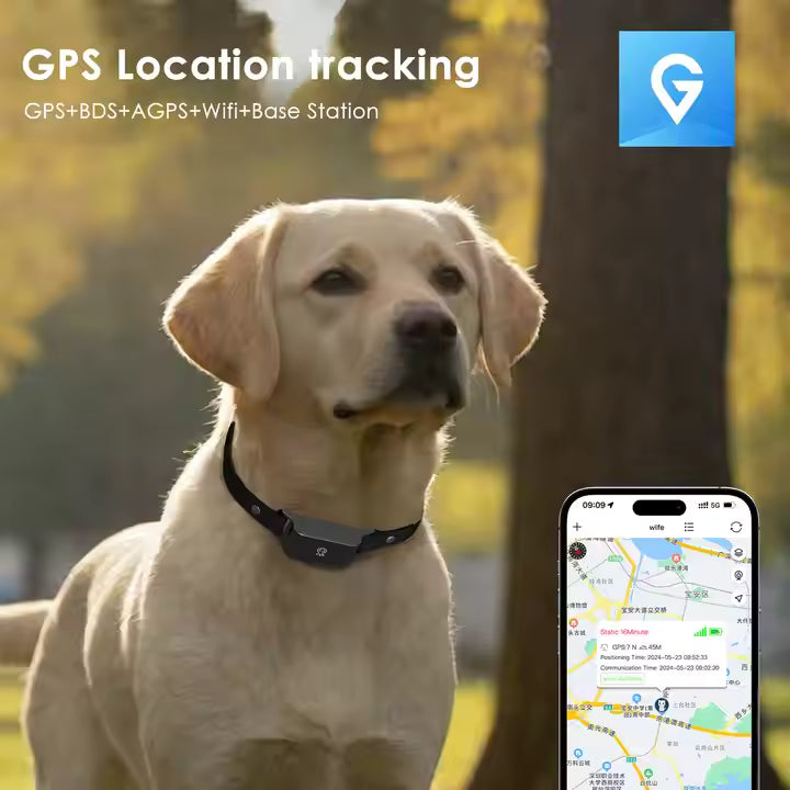 Realtids GPS-halsbånd til kæledyr, giver ro i sindet ved sporing.