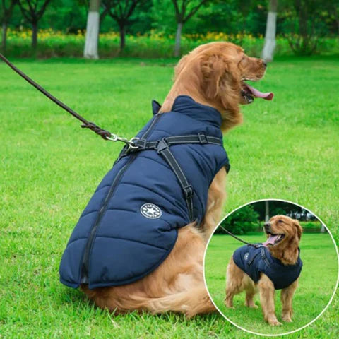 Varm hundejakke til vinter med integreret sele, perfekt til kolde dage og udendørs aktiviteter.