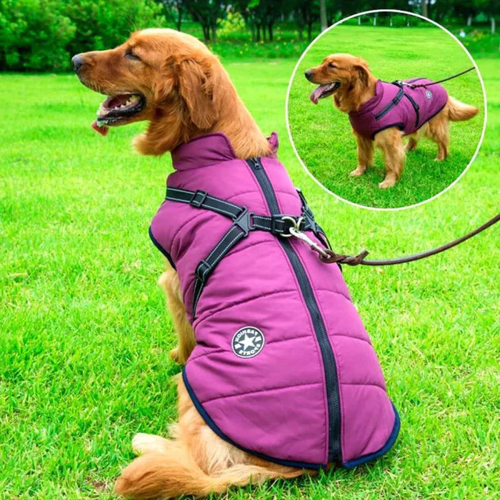 Varm, vandtæt FrostGuard hundejakke til vinteren. Med reflekser for sikkerhed under udendørs gåture.