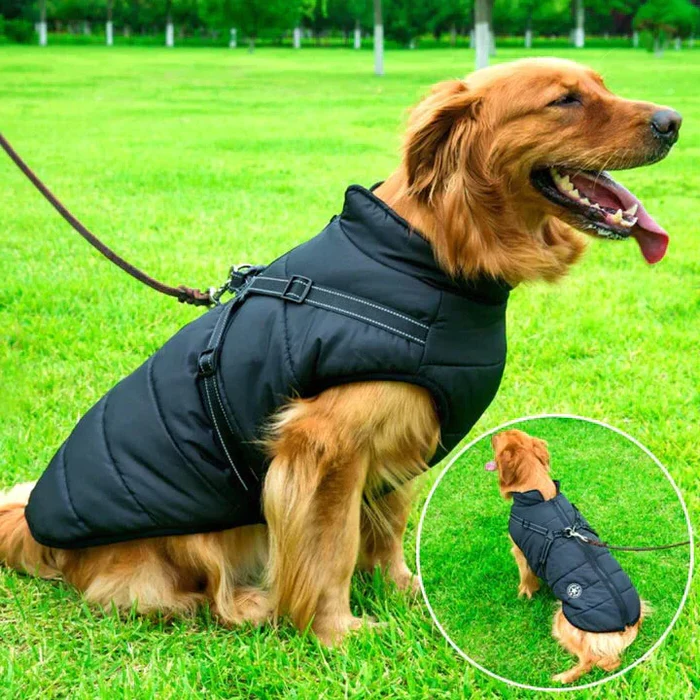 Nærbillede af FrostGuard hundejakkens vandtætte materiale og varme isolering til den kolde vinter.