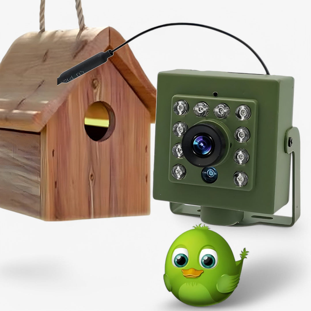 Vejrbestandigt 1080p HD WLAN fuglekamera til udendørs overvågning og dyreliv. Med nattesyn.