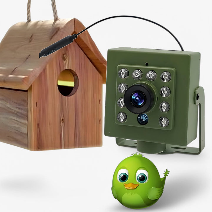Vejrbestandigt 1080p HD WLAN fuglekamera til udendørs overvågning og dyreliv. Med nattesyn.